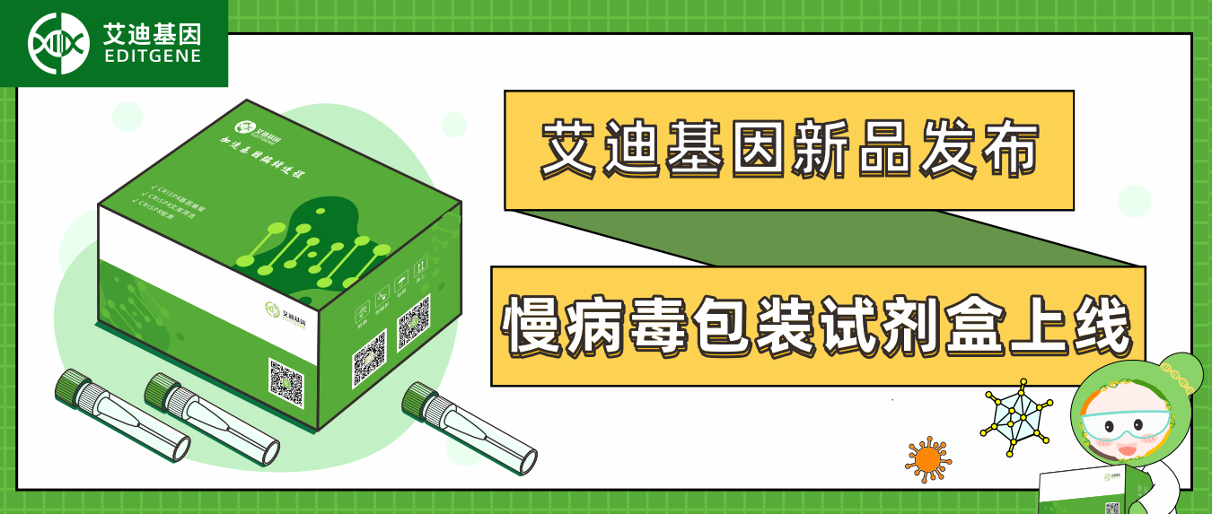 新品发布| 球盟会生物基因慢病毒包装试剂盒全新上线！高滴度高效率，自主操作无忧下游实验！
